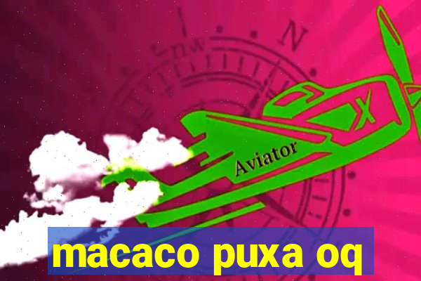 macaco puxa oq